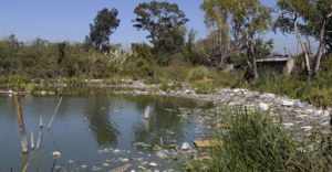 Riachuelo,  el río más contaminado de Argentina