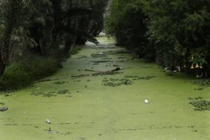 Las aguas residuales en México podría convertirse en amenaza 