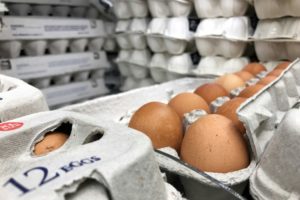 UE convoca paises afectados por caso de huevos contaminados