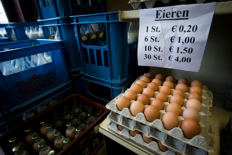 Bélgica acusa a Holanda por huevos contaminados
