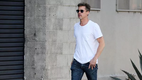 Brad Pitt fue condenado en París a pagar USD 662.982 dólares a la artista francesa Odile Soudant a causa de un impago que provocó la quiebra de su empresa.