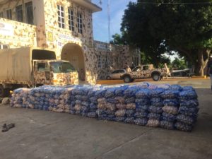 Cesfront decomisa más de 5,000 libras de ajo en Dajabón 