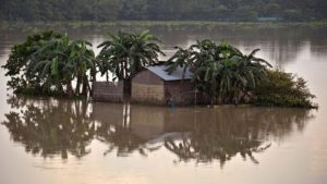  Cerca de 500 personas han muerto en las inundaciones que azotan el norte de la India desde principios de mes y que han causado 17 millones de damnificados, informaron este martes fuentes oficiales.