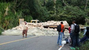Patana cargada de cemento se accidenta en carretera Casabito-Constanza