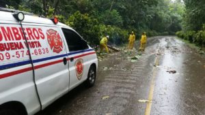 Huracán Irma tumba árboles y deja a Jarabacoa sin electricidad; suspenden servicio de agua potable está