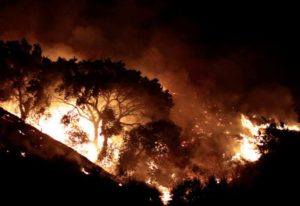 Al menos 10 muertos, 20.000 evacuados y 2.000 inmuebles destruidos es el saldo este lunes de devastadores incendios en la región vitivinícola de California,