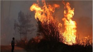 Incendios en Portugal  movilizan a más de 1.300 bomberos 