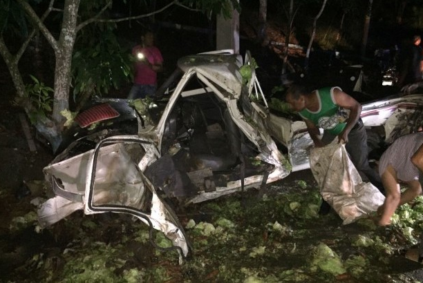 En Jarabacoa dos hombres perdieron la vida cuando un camión de color blanco se accidentó en la localidad El Puerto