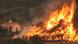 Murió un bombero luchando contra el gigantesco incendio Thomas en California, EE. UU.