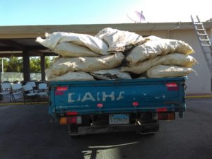 Cesfront impide tráfico de palos de guaconejo desde Pedernales hacia Haití