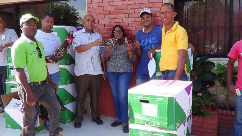 Neiba: productores reciben del Inuva cepas de variedad traída de Perú