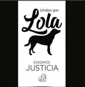 PGR apodera Fiscalía de Santiago investigar versión en redes de que mujer mató perra