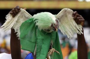 Rusia prohíbe a fanáticos llevar gallinas vivas a estadios