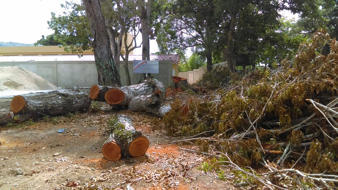 Conflicto en Higüey entre ingeniero y residentes de Los Cerritos por tala de árboles
