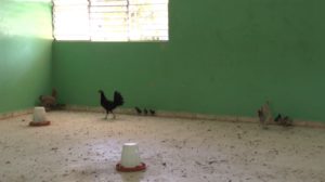Inician reconstrucción de escuela en Cevicos tras varios años de protestas