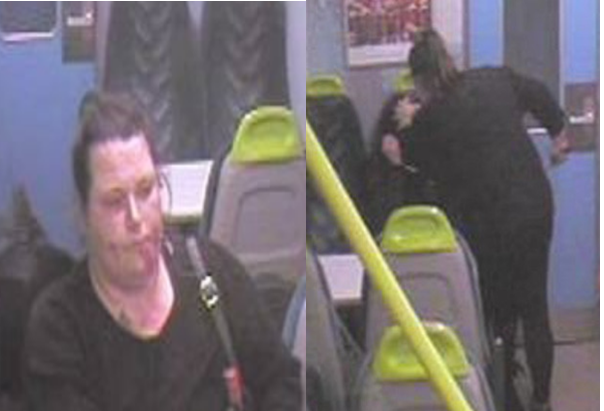 Una mujer apuñala con saña durante cuatro minutos a una amiga en un tren en el Reino Unido