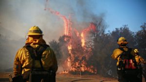 EEUU Continúa la búsqueda de sobrevivientes tras mortífero incendio en California