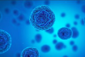 Las células madre tienen mecanismo de defensa contra bacterias