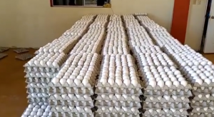 Presidente ASOHUEVO dice producen suficientes pollos y huevos para abastecer a la población 