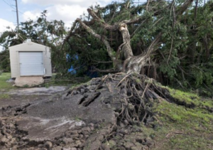 Un tornado deja numerosos daños en el oeste de Florida