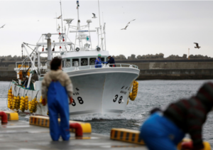 Detectan por primera vez en dos años un exceso de un elemento radioactivo en pescado cerca de Fukushima, Japón 