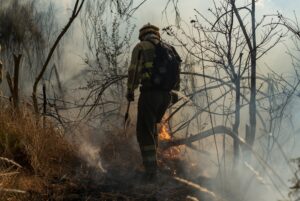 En el territorio guatemalteco se contabilizaron 813 incendios forestales en diciembre de 2019 y abril de 2020, consumiendo un total de 2.755 hectáreas. EFE/ Brais Lorenzo/Archivo