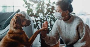 Importancia de las mascotas para la salud mental