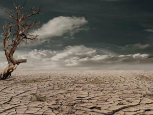  Desertificación y la Sequía
