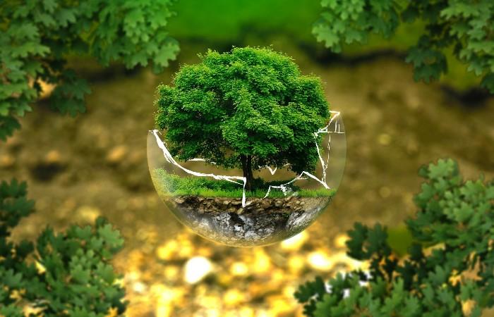 Este 5 de junio se celebra el Día Mundial del Medio Ambiente