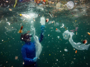 Cuatro productos de plástico constituyen casi la mitad de la basura del océano
