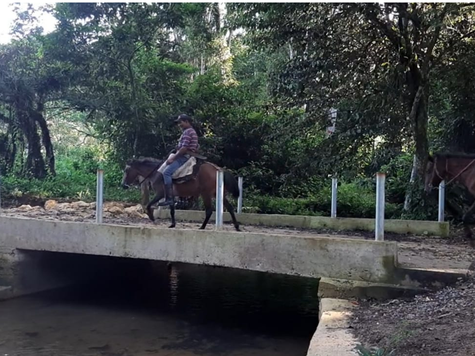 Productores se benefician de puente construido por alcaldía en Bayaguana
