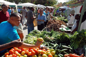 Compradores acuden a plazas agropecuarias para rendir el presupuesto