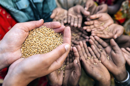 Inseguridad alimentaria aguda aumentará en 23 países, según ONU