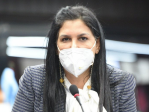 Solicitan juez de Suprema Corte para proceso contra diputada Rosa Pilarte