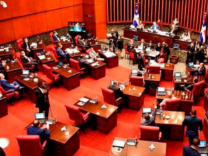Comisión del Senado rendirá informe para aprobación del nuevo estado de emergencia