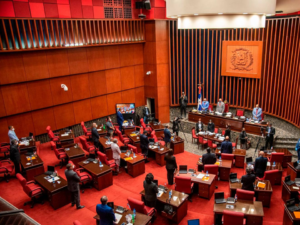 Pleno del Senado decidirá suerte del Código Penal durante sesión 