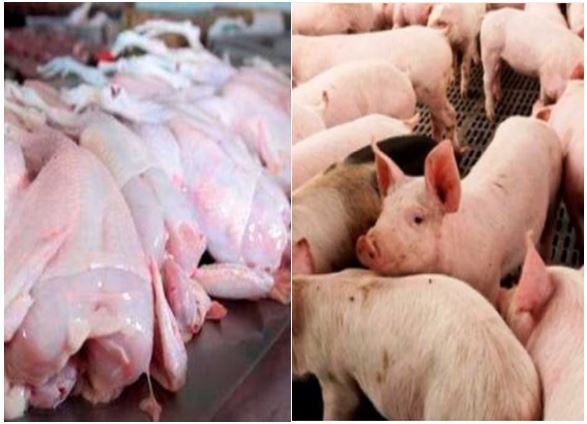 Agricultura afirma fiebre porcina está controlada; vendedores dicen especulan con el pollo