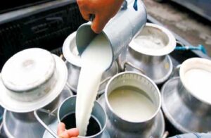 Ganaderos de la región noroeste donan más de 10,000 litros de leche como protesta