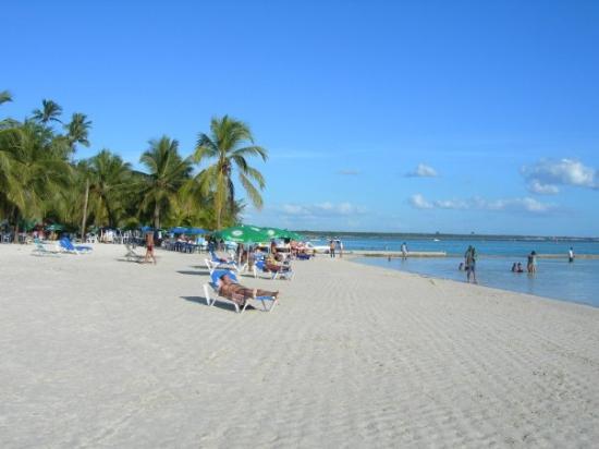 Realizarán estudio para fijar niveles contaminación playa Boca Chica