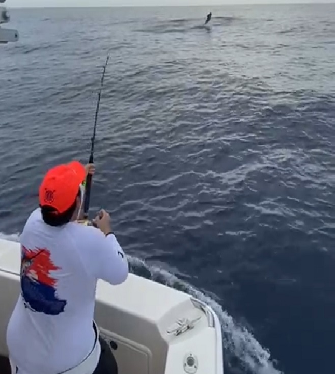 Arrancó torneo pesca al Marlin Azul en opción Copa Seguros Banreservas