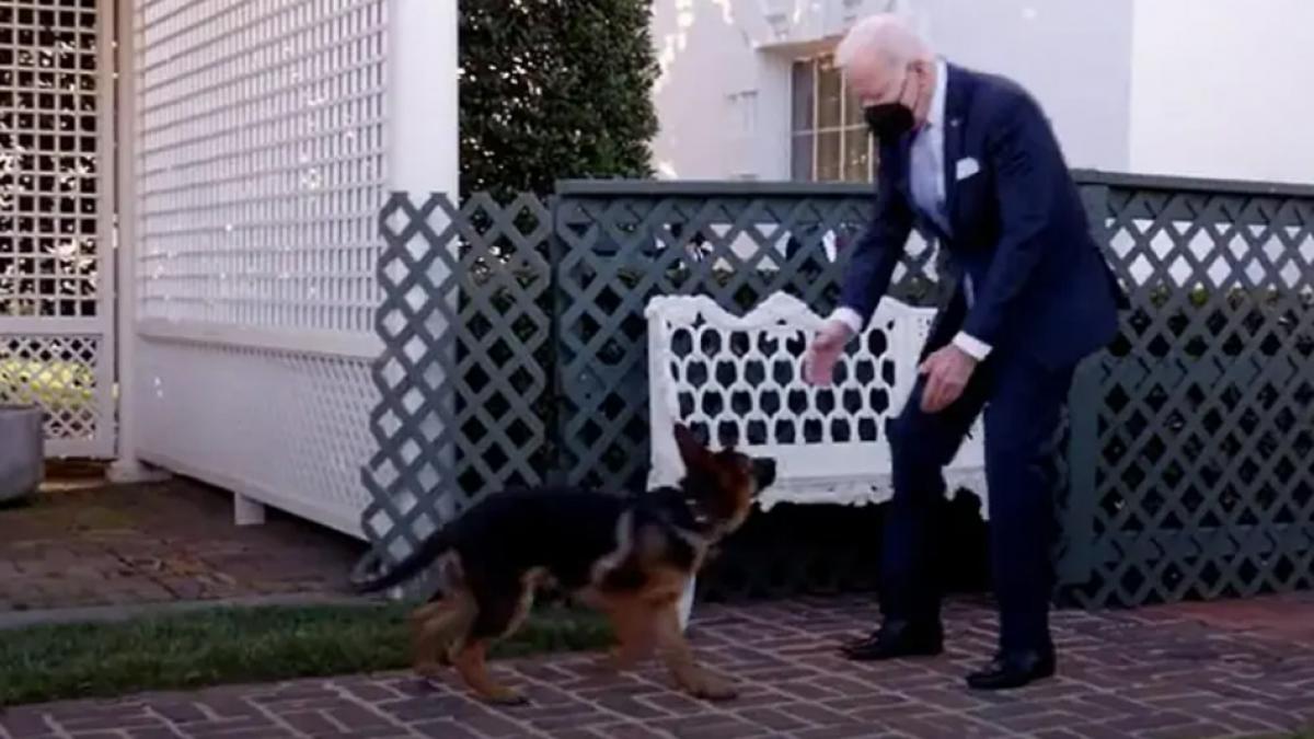 Joe Biden presenta a "Commander", la nueva mascota de la Casa Blanca