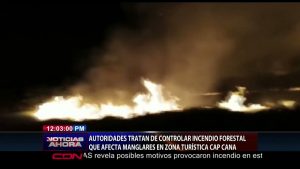 Incendio forestal afecta manglares de la zona turística en Cap Cana
