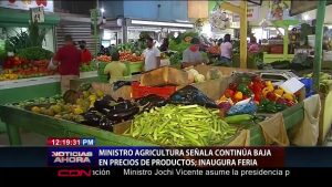 Ministro de Agricultura señala continúa baja en precio de productos