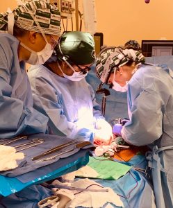 Logran trasplantar dos riñones de cerdo a paciente con muerte cerebral