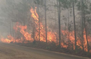 Autoridades controlan incendio en parques nacionales