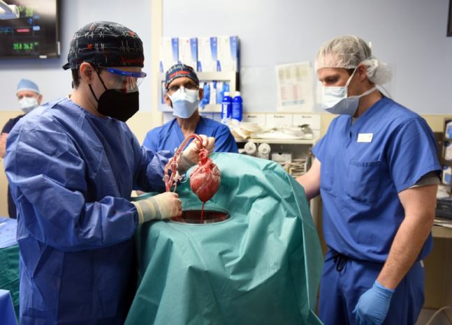 Fotografía cedida por la Facultad de Medicina de la Universidad de Maryland (EE.UU.) que muestra al cirujano Bartley P. Griffith (c) durante el trasplante de un corazón de cerdo modificado genéticamente al paciente David Bennett, en el Centro Médico de la Universidad de Maryland en Baltimore, Maryland (EE.UU.)