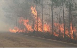 Incendio en Sierra de Bahoruco consume aproximadamente 20 kilómetros