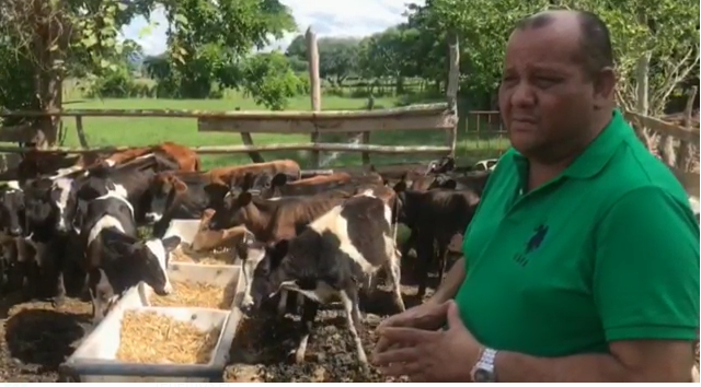 Ganaderos piden acciones públicas contra ladrones de ganado