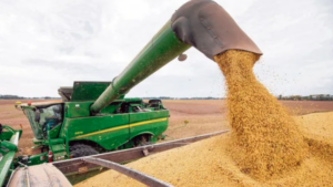Ministerio Agricultura: Ucrania prohíbe exportaciones de fertilizantes