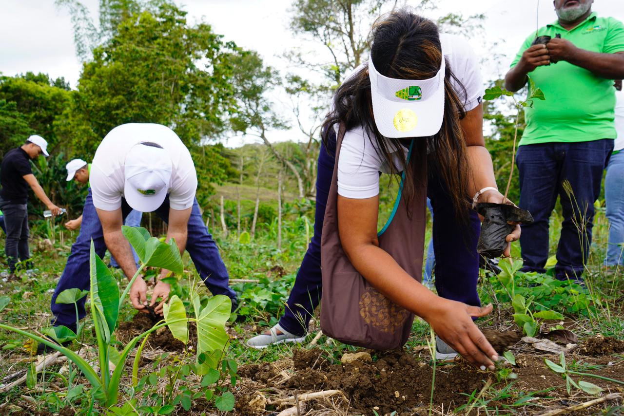 Colaboradores de la OMSA siembran dos mil árboles en Monte Plata